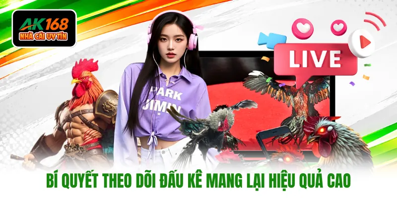 Bí quyết theo dõi đấu kê mang lại hiệu quả cao