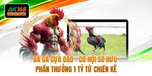 Đá Gà Cựa Dao - Cơ Hội Sở Hữu Phần Thưởng 1 Tỷ Từ Chiến Kê 
