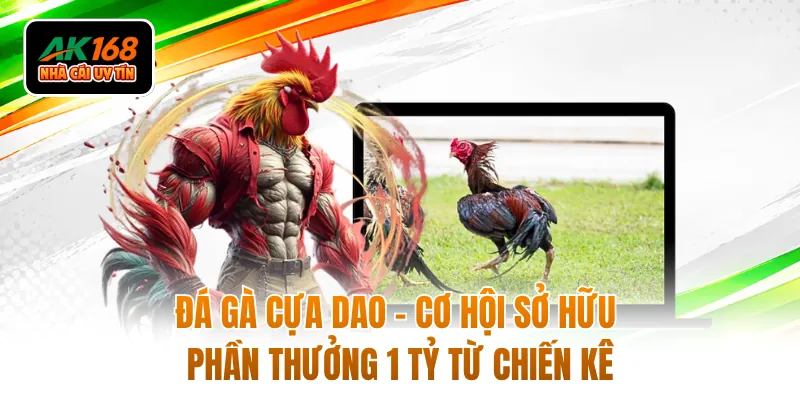 Đá Gà Cựa Dao - Cơ Hội Sở Hữu Phần Thưởng 1 Tỷ Từ Chiến Kê 