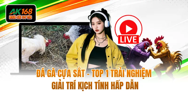Đá Gà Cựa Sắt - Top 1 Trải Nghiệm Giải Trí Kịch Tính Hấp Dẫn