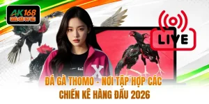 Đá Gà Thomo - Nơi Tập Hợp Các Chiến Kê Hàng Đầu 2026