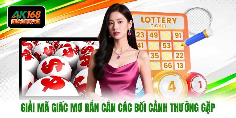 Giải mã giấc mơ rắn cắn các bối cảnh thường gặp