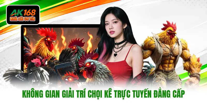 Không gian giải trí chọi kê trực tuyến đẳng cấp