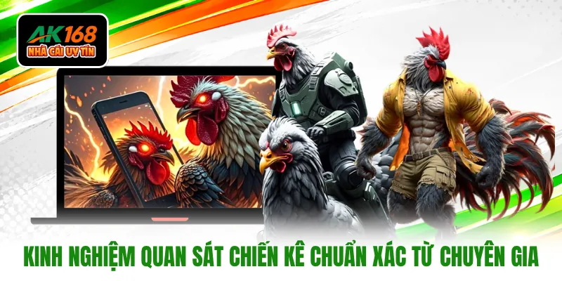 Kinh nghiệm quan sát chiến kê chuẩn xác từ chuyên gia