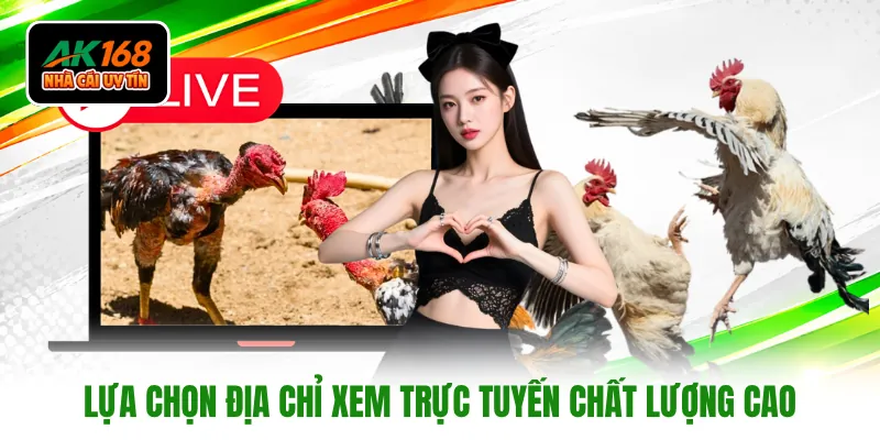 Lựa chọn địa chỉ xem trực tuyến chất lượng cao