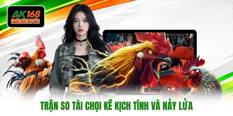 Trận so tài chọi kê kịch tính và nảy lửa